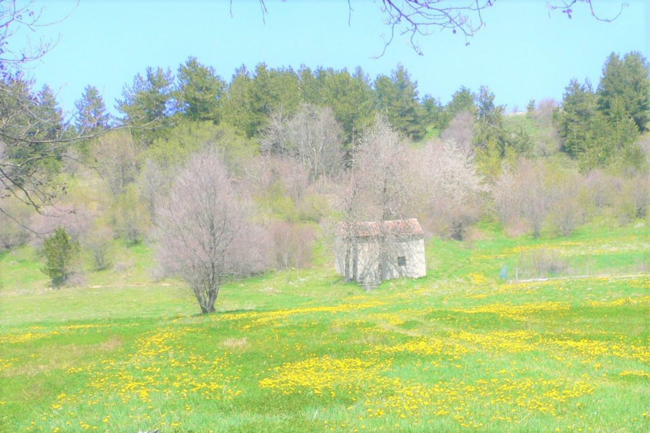 Готель Torre Camigliati Dimora Storica Камільятелло-Сілано Екстер'єр фото