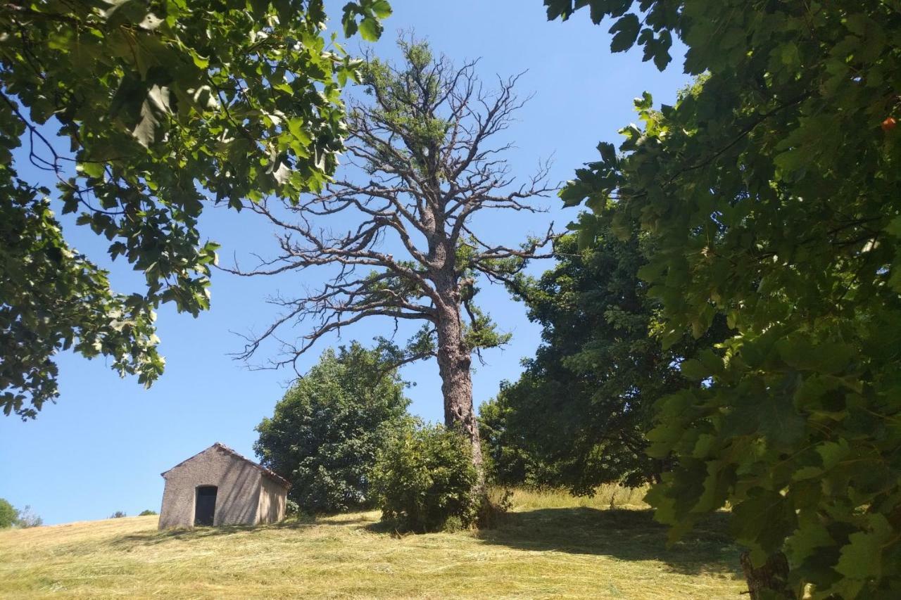 Готель Torre Camigliati Dimora Storica Камільятелло-Сілано Екстер'єр фото